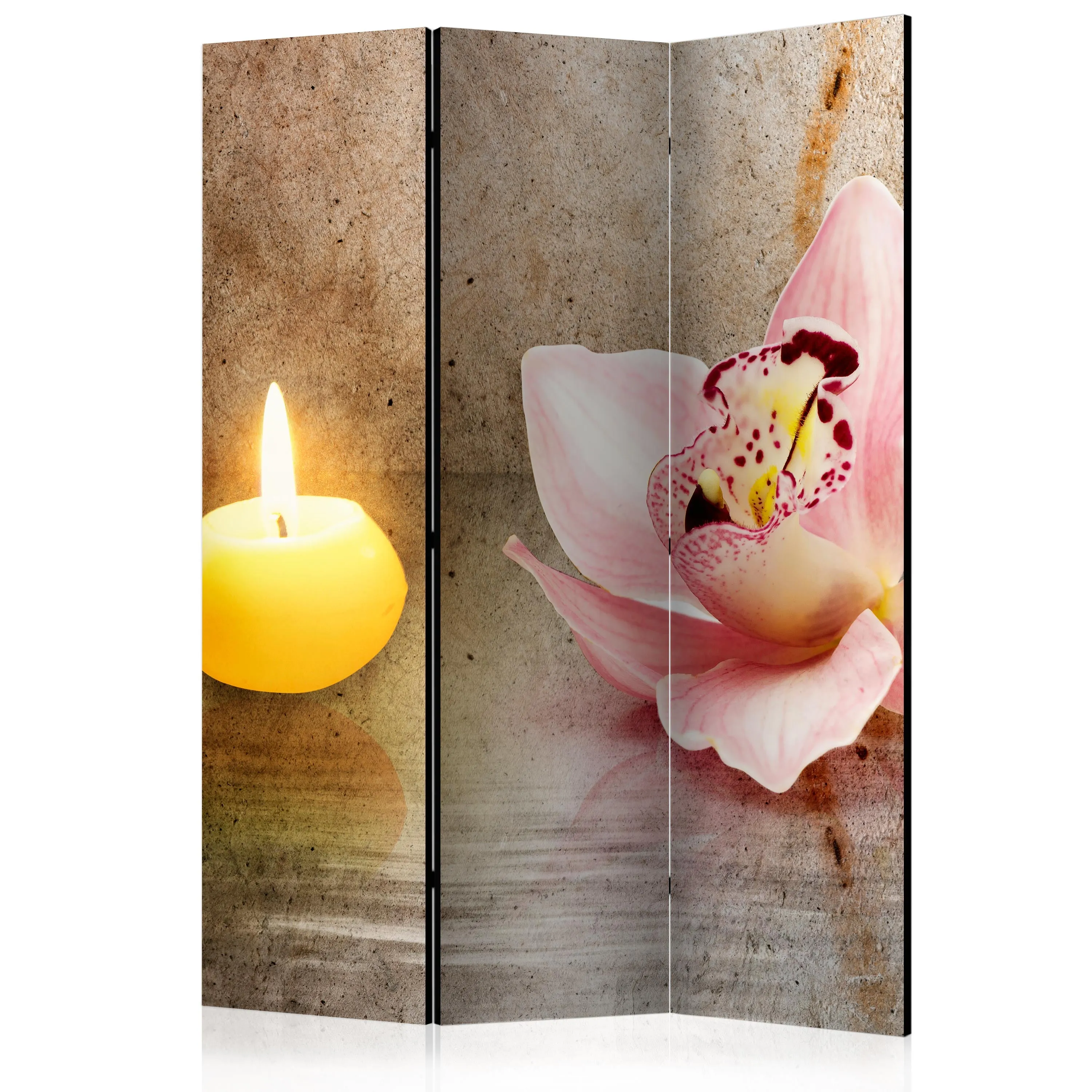 Paravento Romantic evening [Room Dividers]